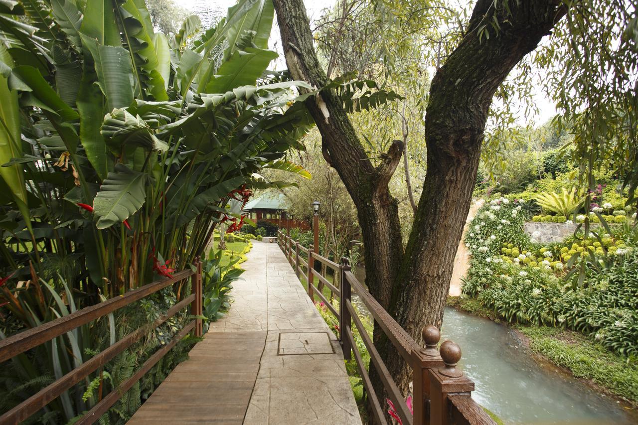 מלון Tacámbaro de Codallos Quinta Sauz מראה חיצוני תמונה